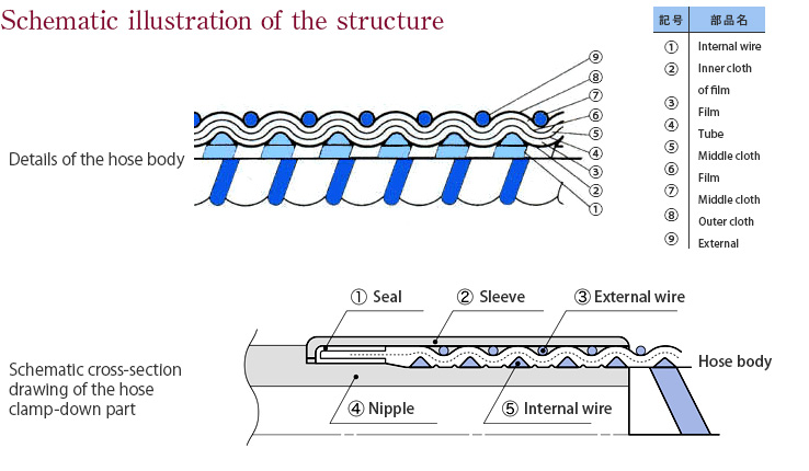 Schematic illustration of the structure